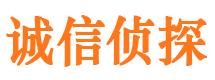 印台市侦探公司